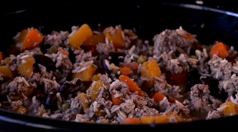 Easy Slow Cooker Dog Food [VIDEO]